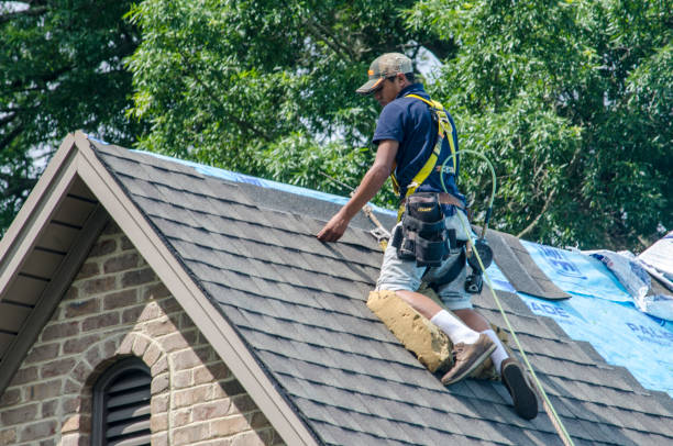 Professional Roofing Contractor in Kenly, NC